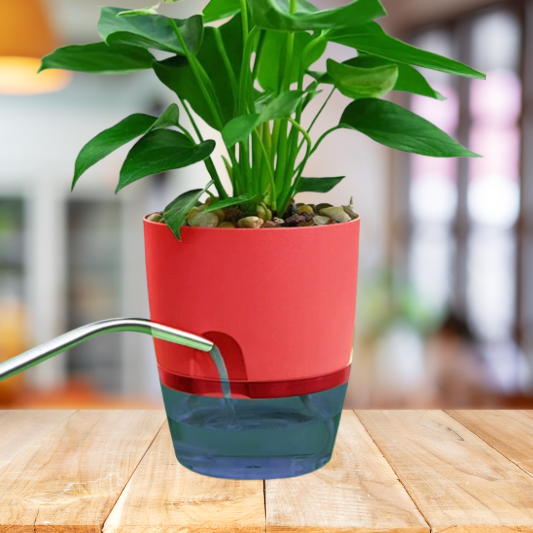 Self Watering Planter - Wick Pot