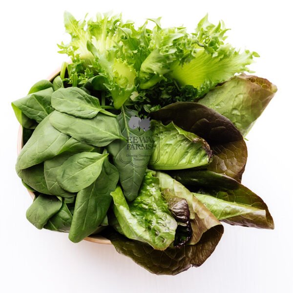 Leafy Green Mix (Hydroponically Grown)