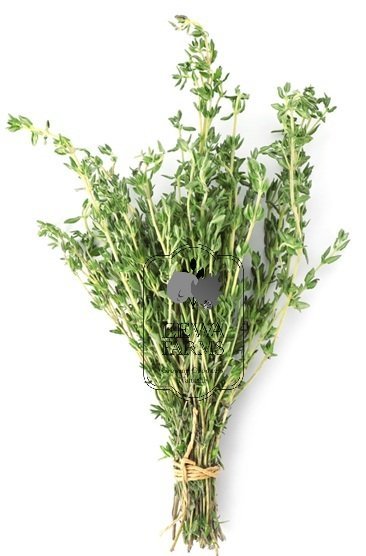 Thyme (Hydroponically Grown)
