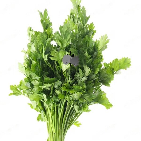 Celery (Hydroponically Grown)