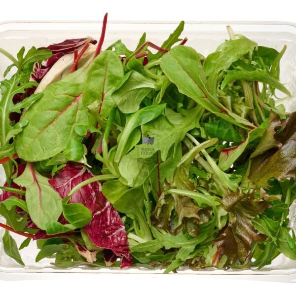 Salad Mix (Hydroponically Grown)