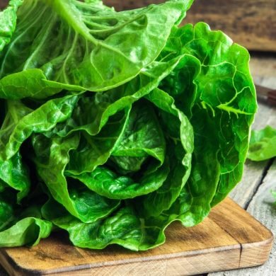10 Benefits of Butterhead Lettuce You Didn’t Know About