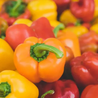 The Art of Growing Bell Peppers Hydroponically at Eewa Farms