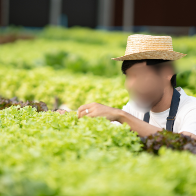 Urban Farming at Eewa Farms